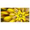 Designart - Massive Yellow Fractal Flower - Floral Canvas Art Print